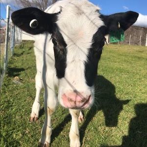 Meet your Posher, Mia